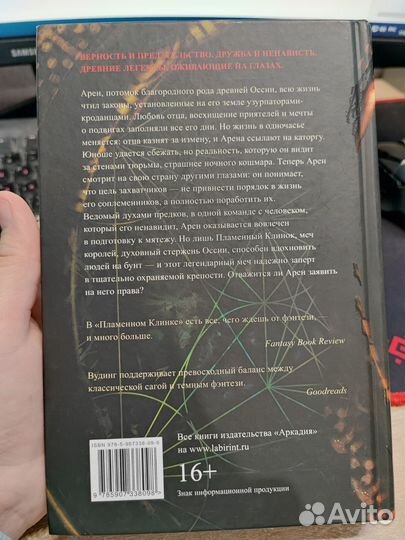 Пламенный клинок. Крис Вудинг