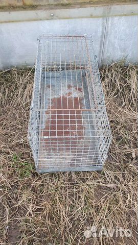 Клетки для кур, кроликов