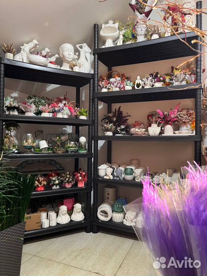 Цветы сухоцветы/стабилизированные/мох/декор