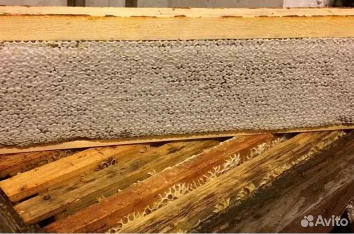 Мед 24 года натуральный опт