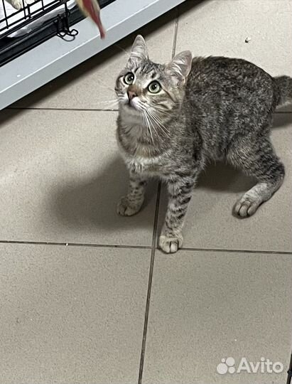 Малышка на миллион