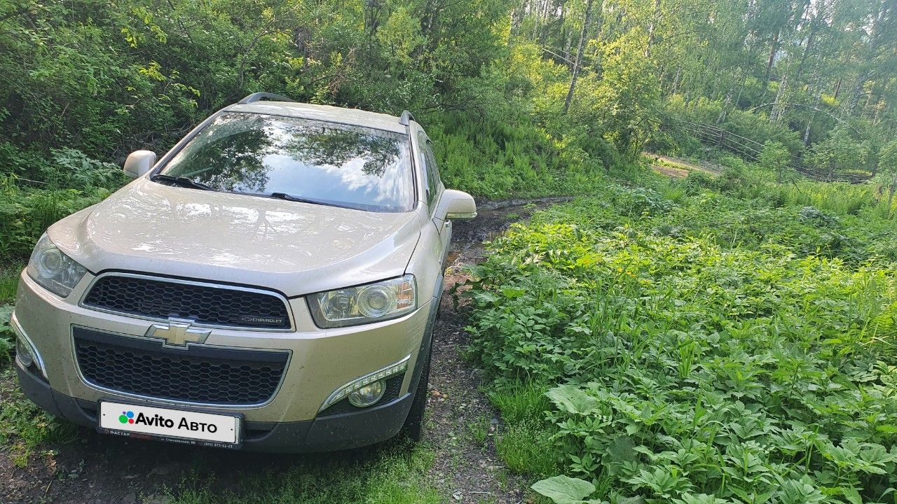 Chevrolet Captiva: фото владельца