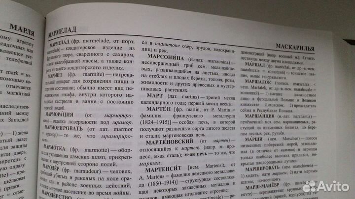 Большой словарь иностранных слов