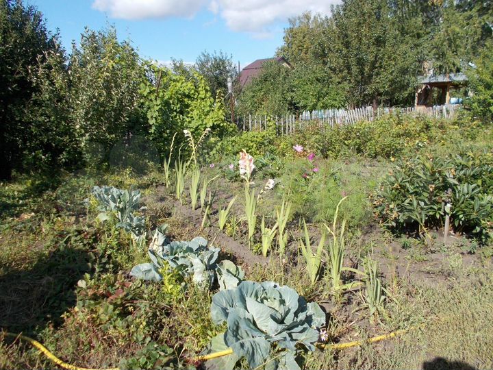 Дача 40 м² на участке 9 сот.