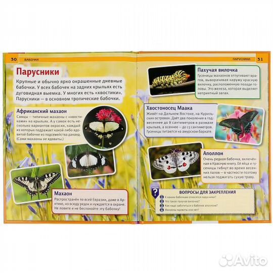 Энциклопедия Бабочки Умка 4513