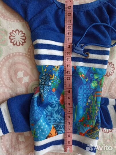 Одежда для собаки