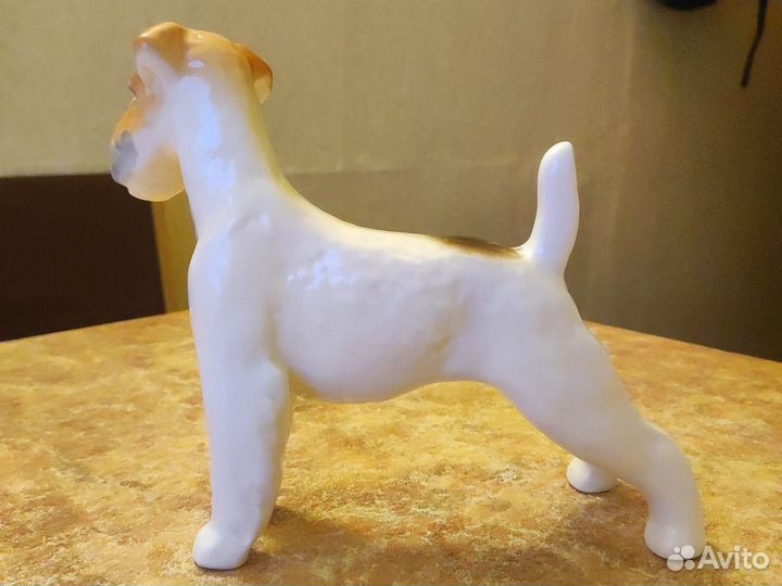 Статуэтка фарфор СССР фокстерьер