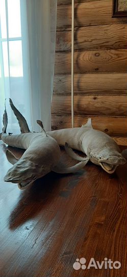 Чучело рыбы