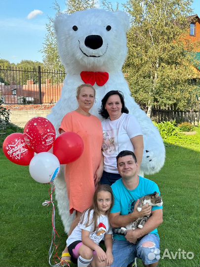 Поздравление от Белого Мишки и Панды