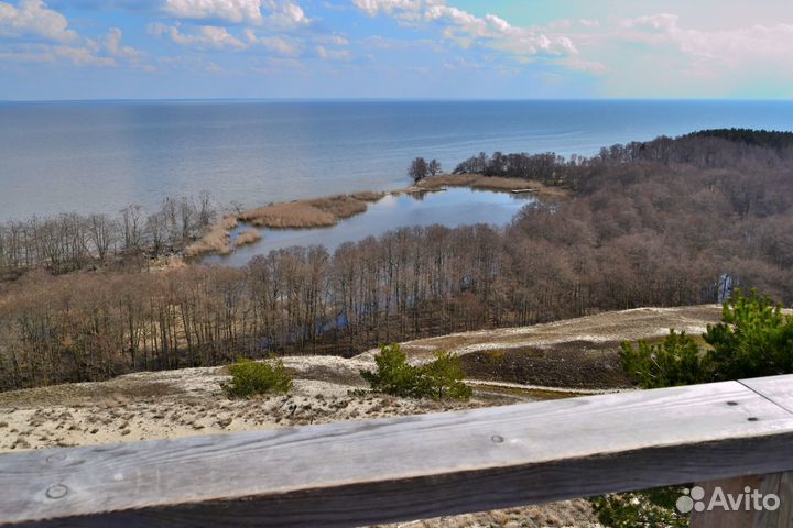 Индивидуальная экскурсия Куршская коса+Зеленоградс