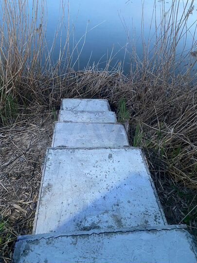 Участок 20 сот. (ИЖС)