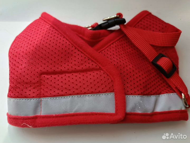 Новая шлейка с поводком