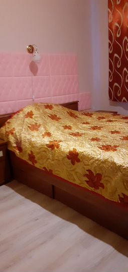 2-к. квартира, 43,4 м², 2/3 эт.