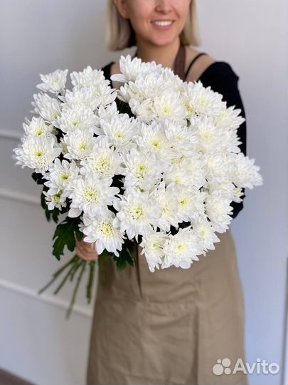 Хризантема белая балтика. Букеты 9,11,15, 21, 25шт