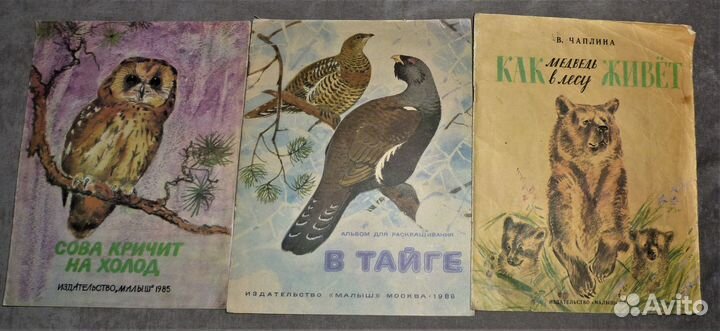 Приключения в каменном веке Тигренок 28 книг