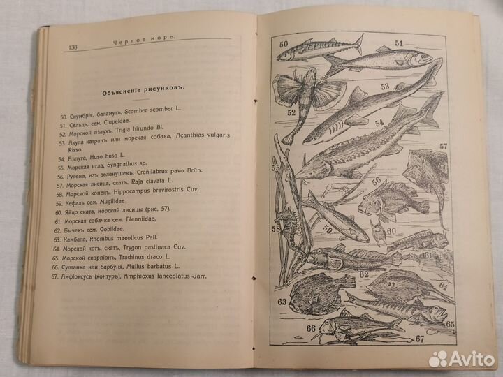 Путеводитель Крымъ 1914 г. Состояние