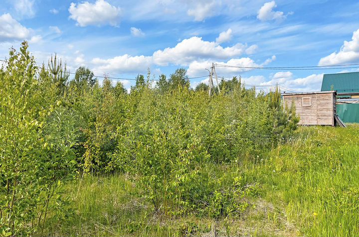 Участок 7 сот. (СНТ, ДНП)