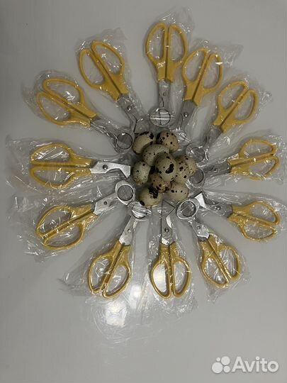 Ножницы для перепелиных яиц