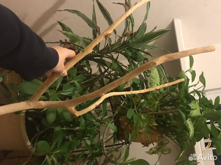 Клетка для попугаев 75см