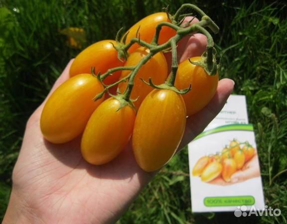 Семена томатов