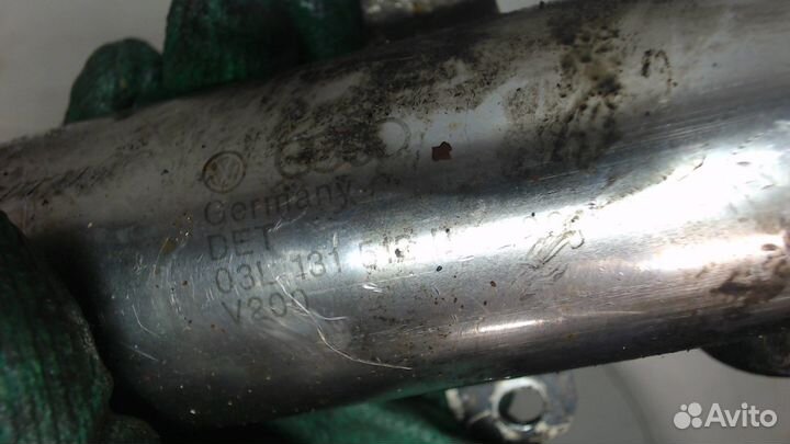 Охладитель отработанных газов Skoda Octavia (A5)