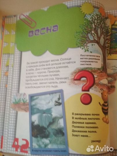 Книга Энциклопедия дошкольника