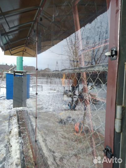 Гибкие окна