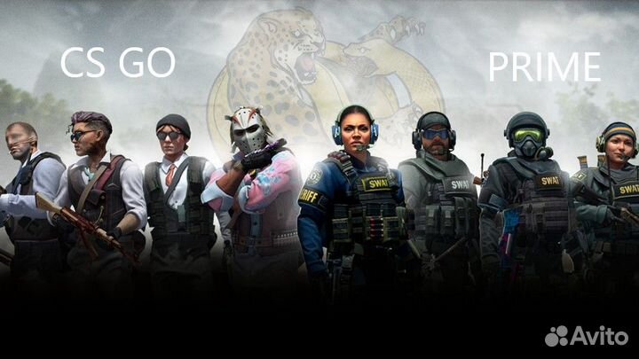 Прайм статус кс го