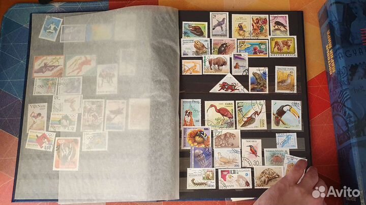 Почтовые марки мира