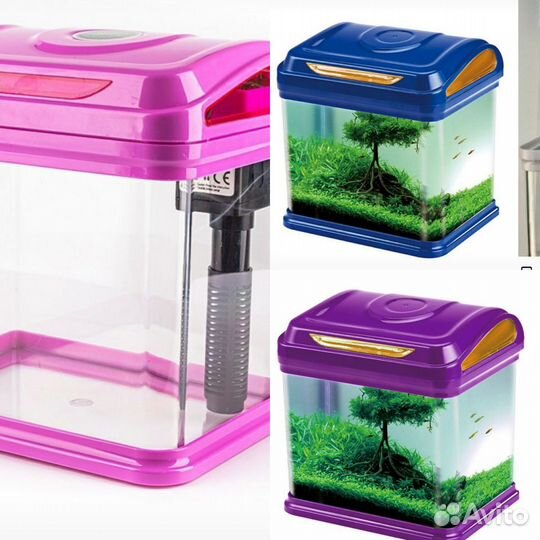 Аквариумы, Черепашники, Петушатники