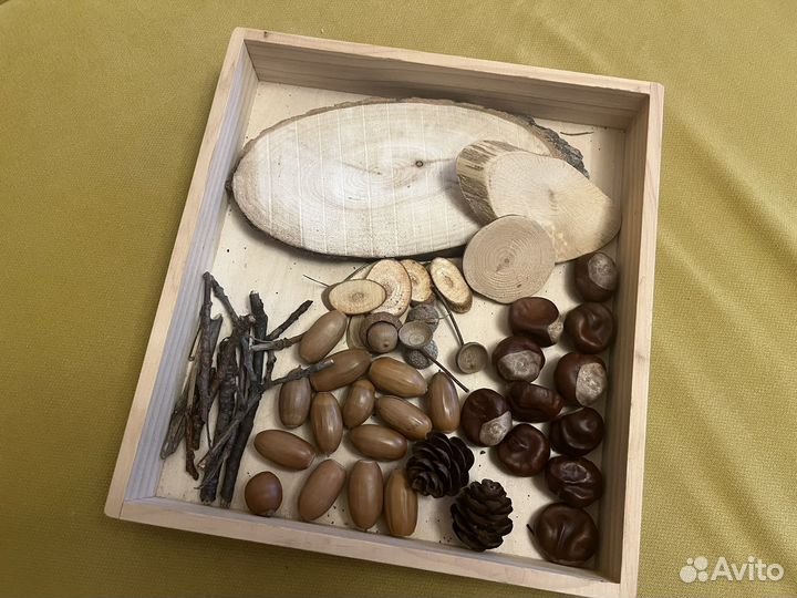 Желуди каштаны шишки для поделок