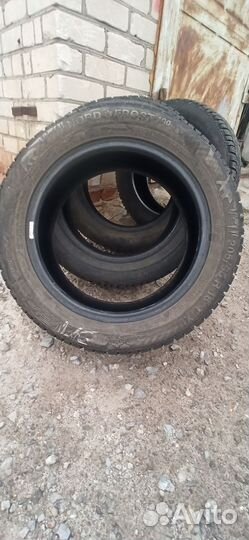 Gislaved NordFrost 100 205/55 R16