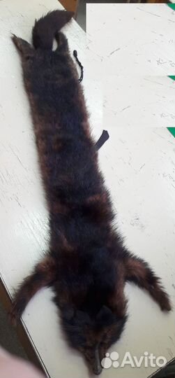 Лисья шкура