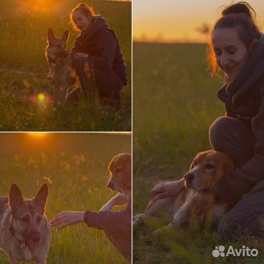 Семейный фотограф / фотограф/ детский фотограф