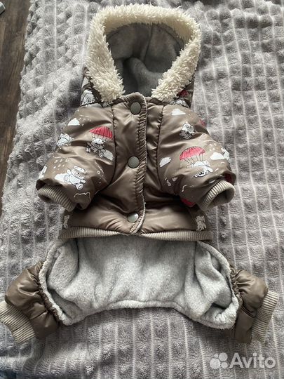 Одежда для собак мелких пород