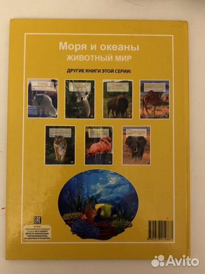 Моря и океаны.Животный мир