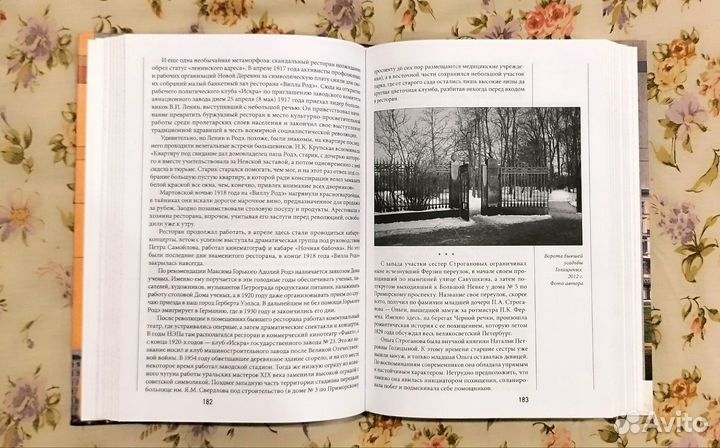 Санкт-Петербург. Новая и Старая Деревни