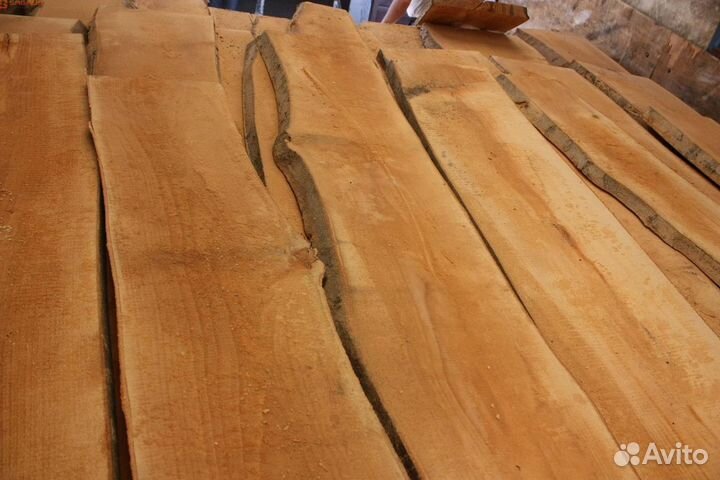 Доска береза