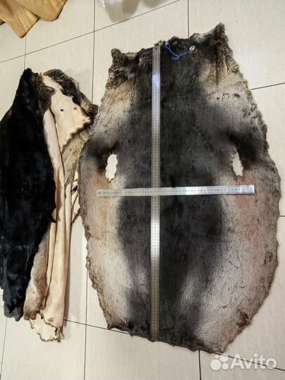 Шкурки морского котика.Выделаные