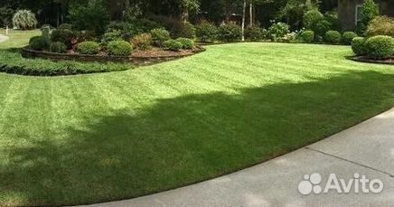 Газон рулонный гарантия