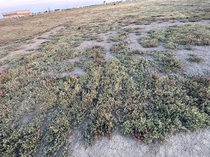 Участок 4,9 сот. (ИЖС)