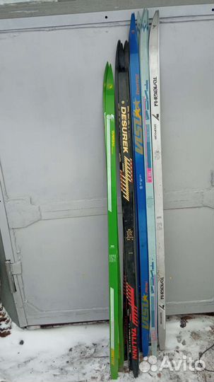 Беговые лыжи