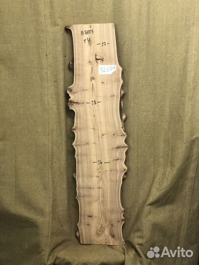 Слэб карагач