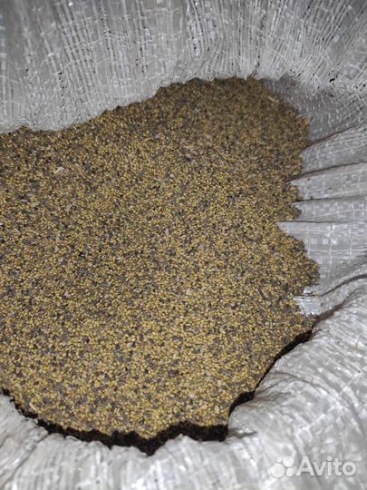 Донник жёлтый от 10кг