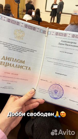 Консультация ветеринара