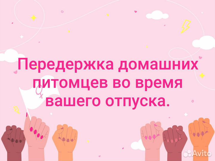 Передержка Собак в домашних условиях