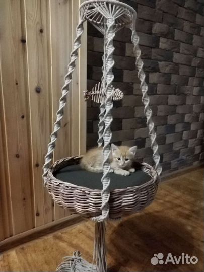 Лежанка и подвес для кошек