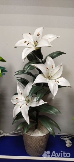 Лилии