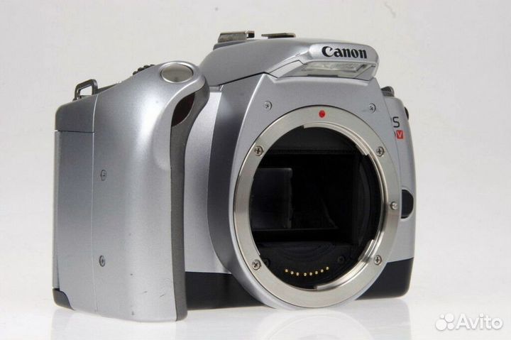 Canon EOS 300V body