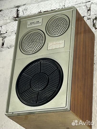 Колонки вега 25ас 109